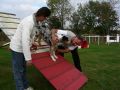 DSCN3494