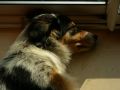 DSCN3548